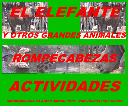 El elefante y otros grandes animales