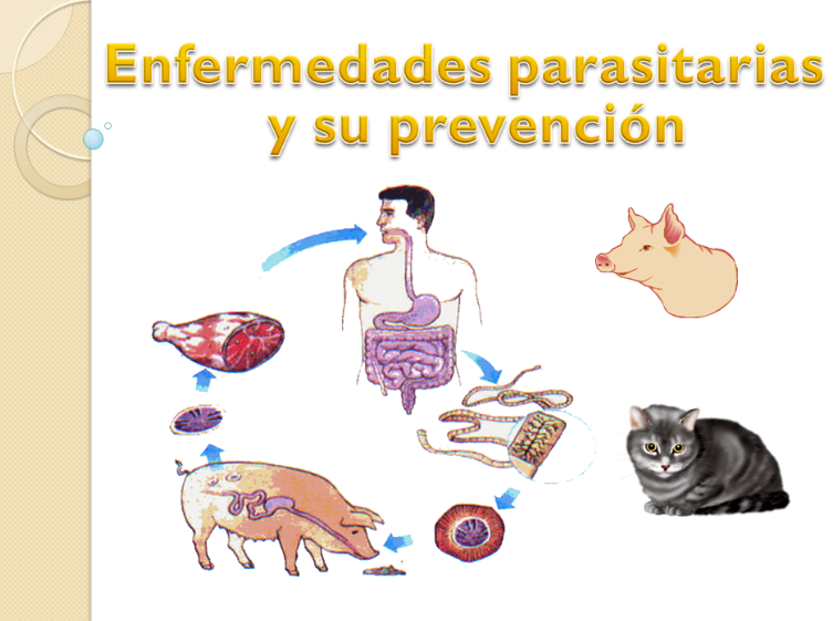 Enfermedades Parasitarias