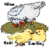 Nina la gallina