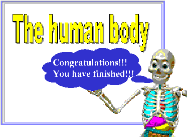 The human body