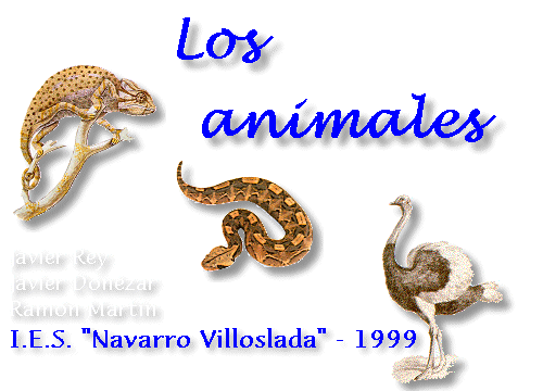 Los animales - 2