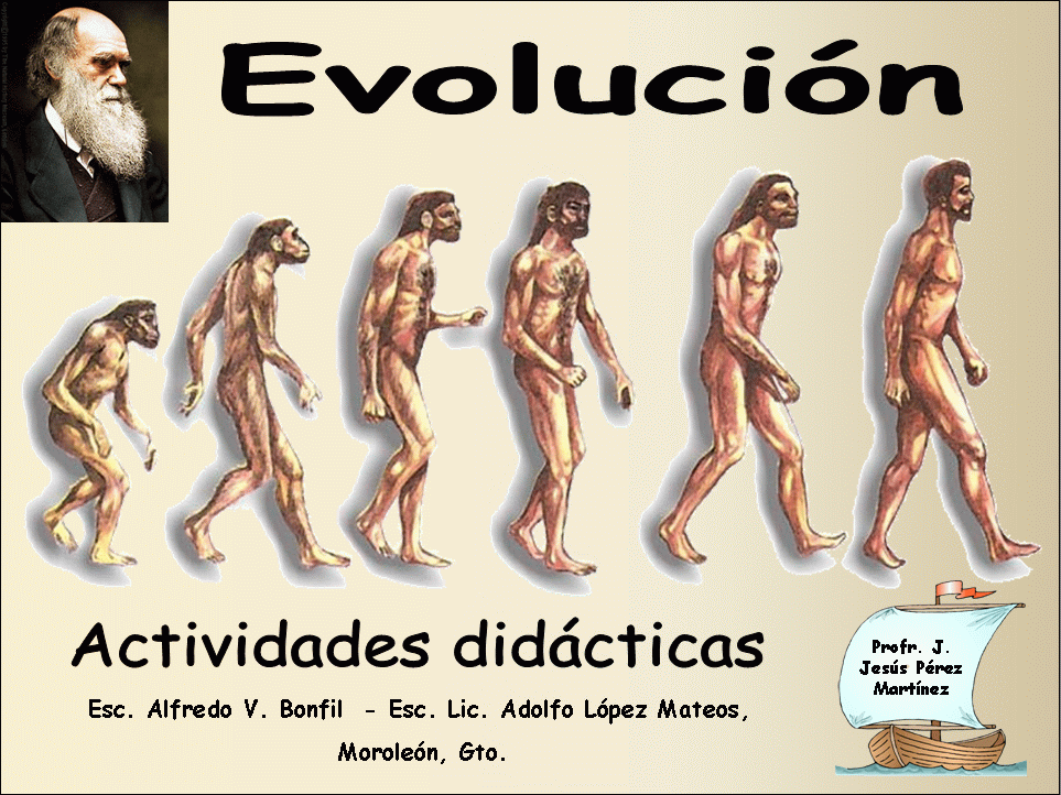 Evolución